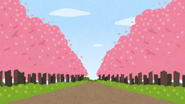 大学通りの桜が…
